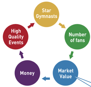 regola-gymnastics-system