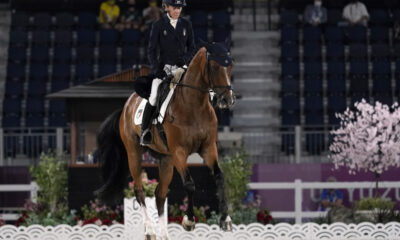 Susanna Bordone su Imperial Van de Holtakkers