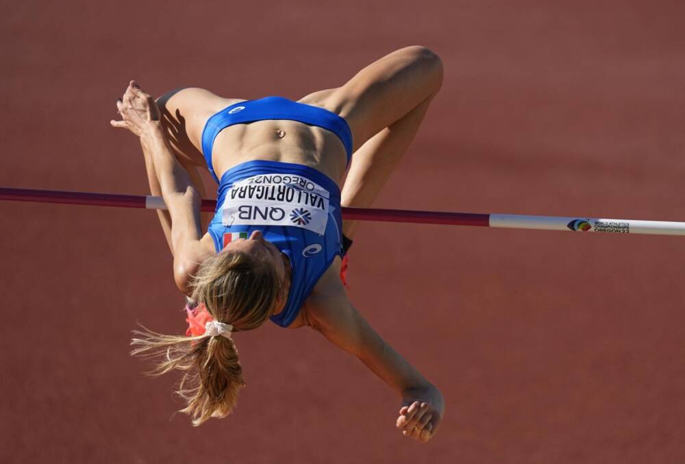 Elena Vallortigara