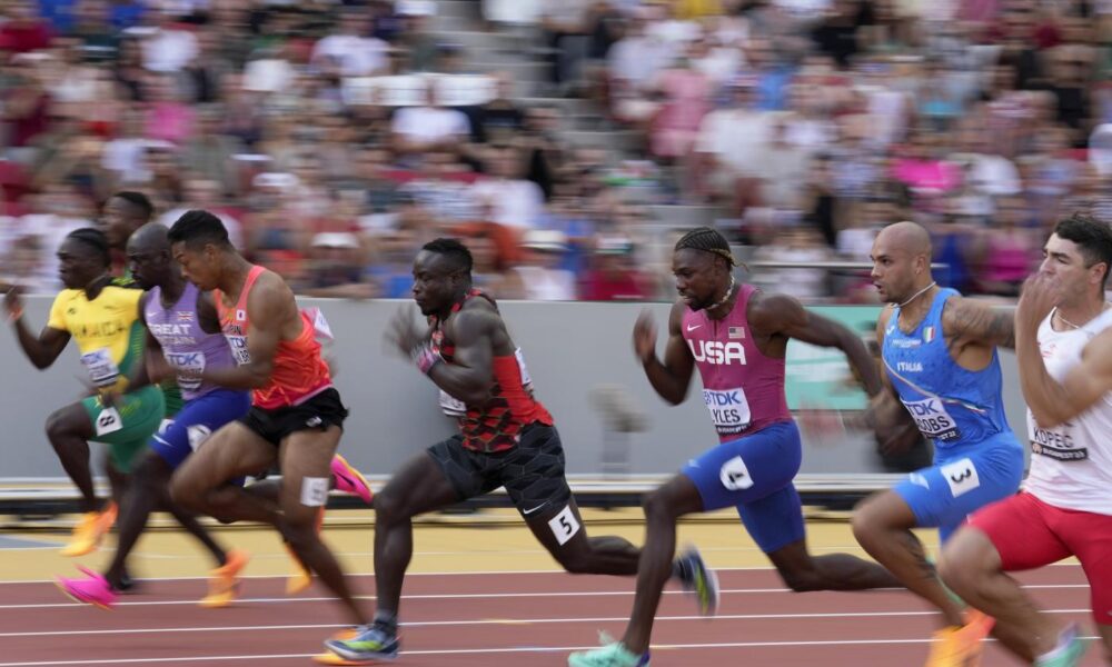 Abdul Hakim Sani Brown