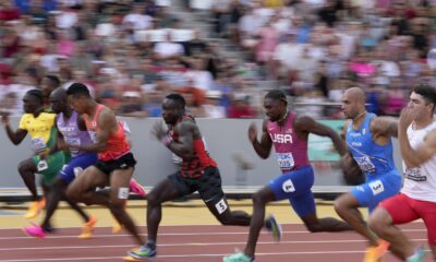 Abdul Hakim Sani Brown