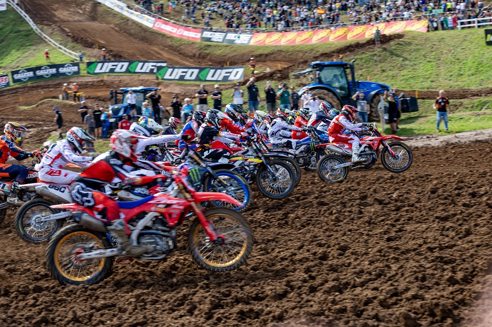 MX2 generica