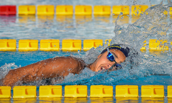 Valentina Procaccini