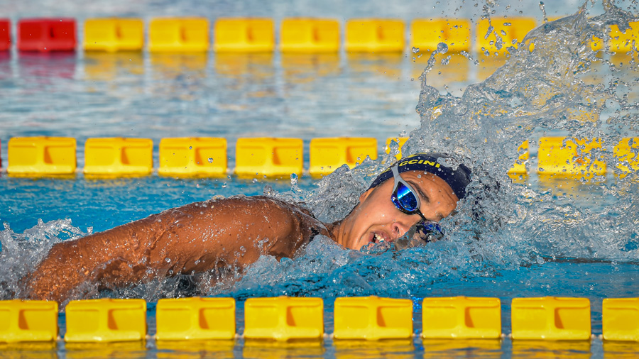 Valentina Procaccini