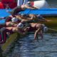 Nuoto di fondo