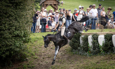 Giovanni Ugolotti su Swirly Temptress