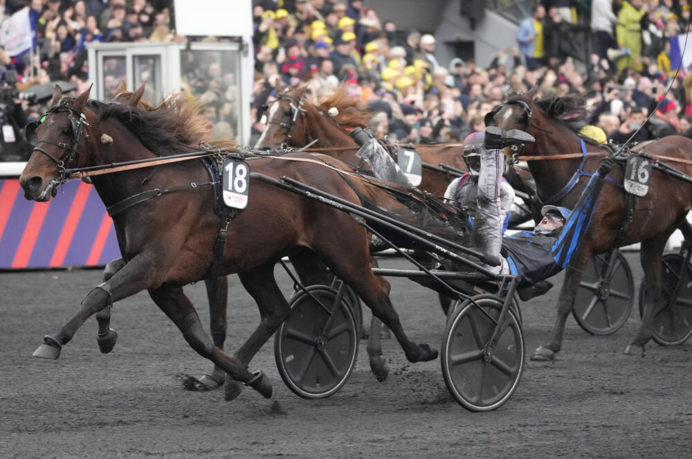 Grand Prix d’Amerique 2026: orario, dove vederlo in tv e streaming Grand Prix d’Amerique 2026: orario, dove vederlo in tv e streaming