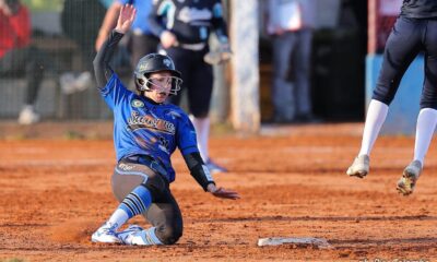 Saronno Softball