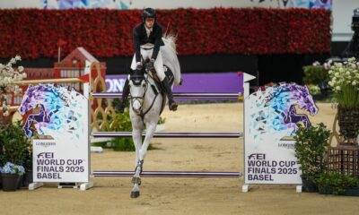 Martin Fuchs su Leone Jei