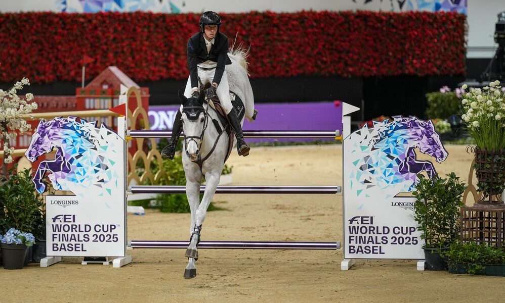 Martin Fuchs su Leone Jei