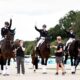 Germania dressage