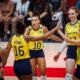 Brasile volley