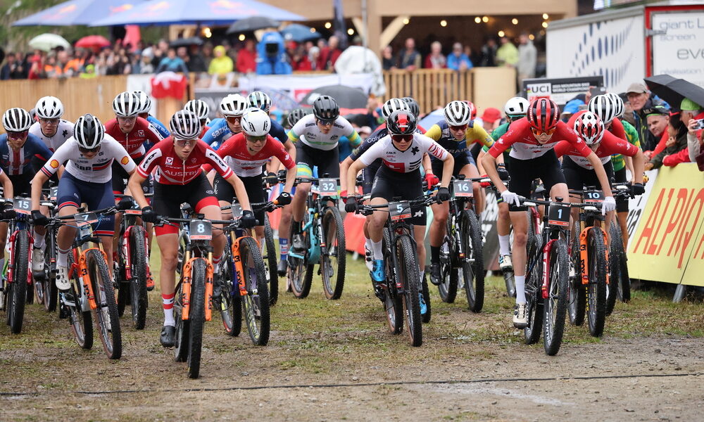 Mountain bike generica mondiali