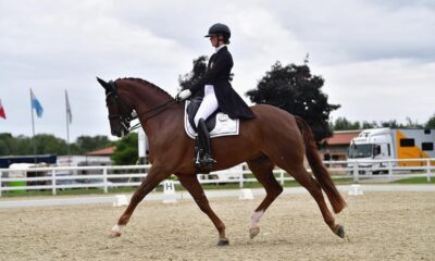 Nathalie Wahlund su Gorklintgards Scorpion - Sassofotografie - FISE