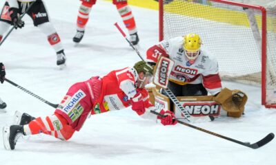 Bolzano Hockey