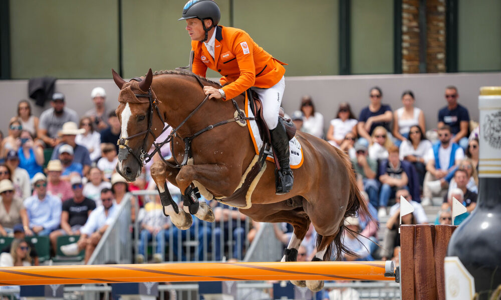 Willem Greve - IPA Sport