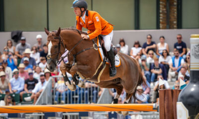 Willem Greve - IPA Sport