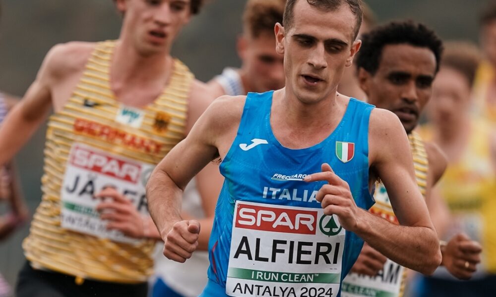 Luca Alfieri