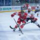 Bolzano Hockey Fehervar