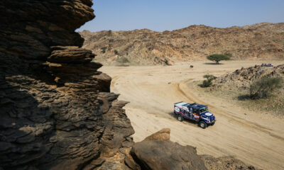 Mitchel Van Den Brink