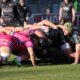 Zebre-Ospreys mischia