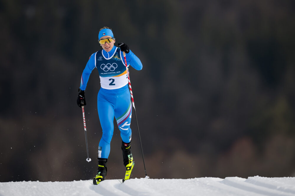 Iris de Martin Pinter