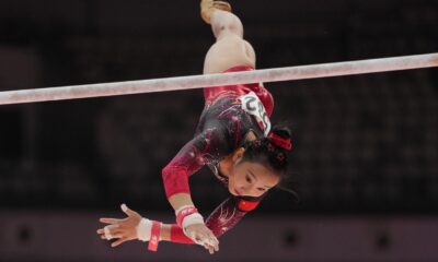 Fanyuwei Yang