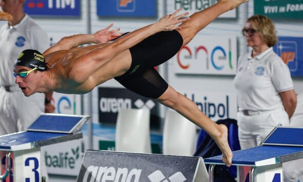 Carlos D'Ambrosio