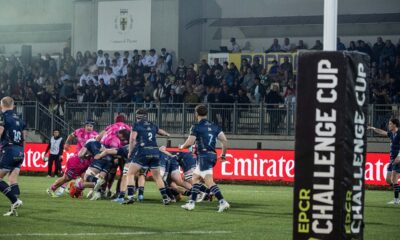 Zebre Parma-Dragons