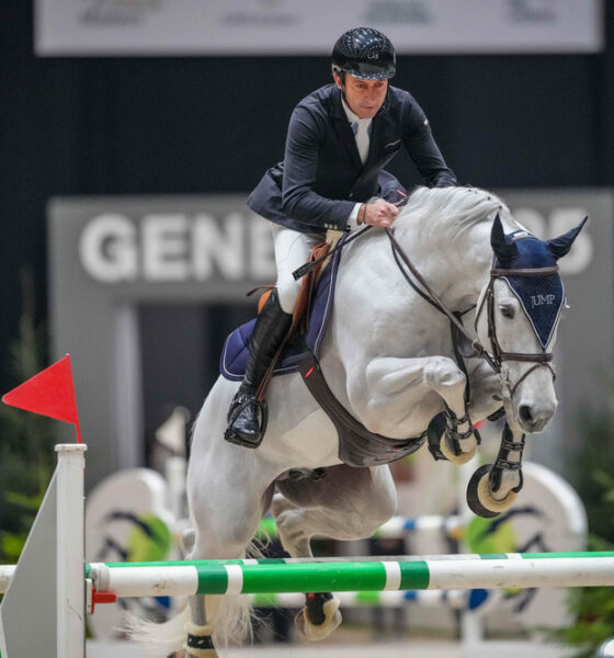 Piergiorgio Bucci su Pallieter vd N.Ranch