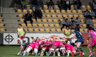 Zebre-Dragons mischia