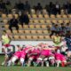 Zebre-Dragons mischia