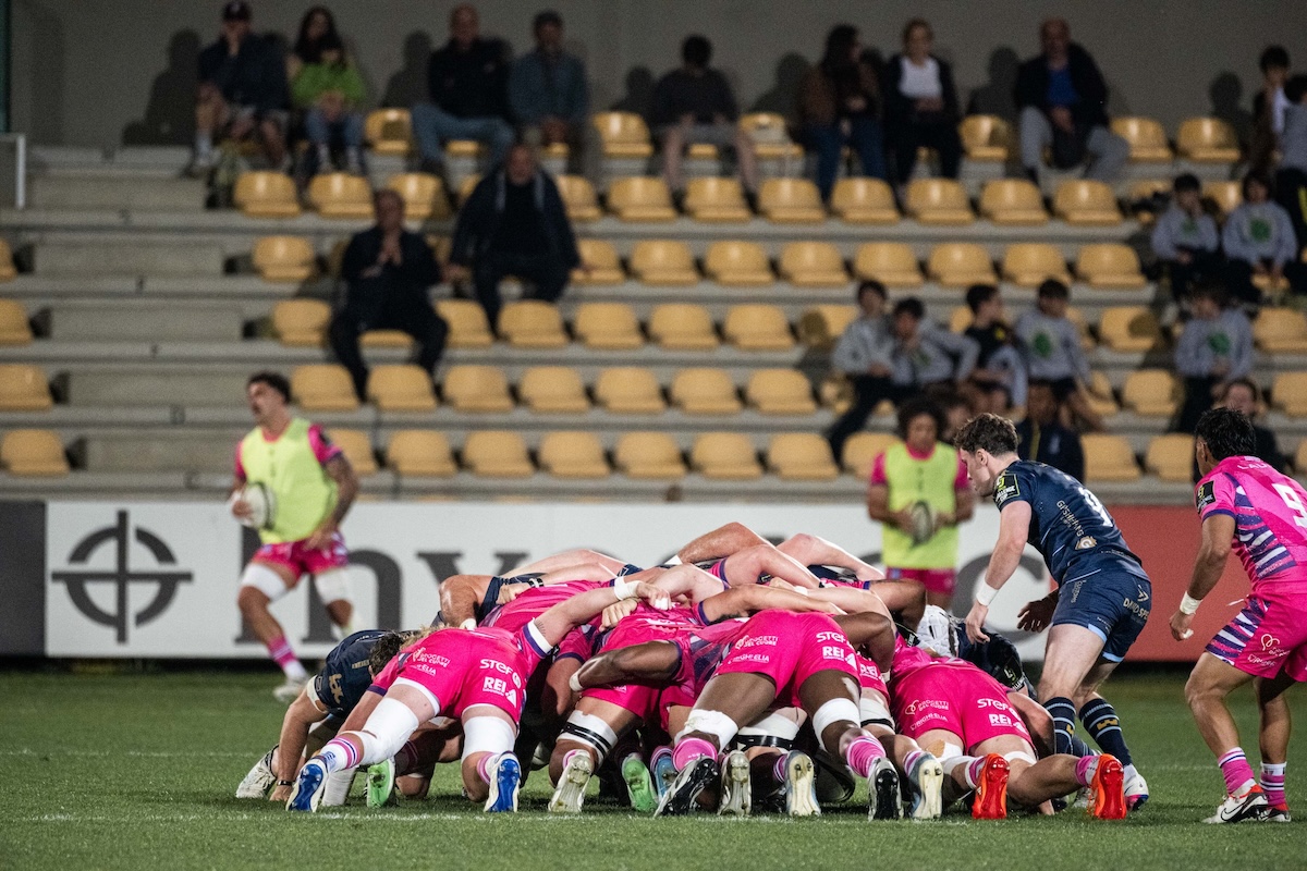 Zebre-Dragons mischia