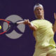 Diego Schwartzman