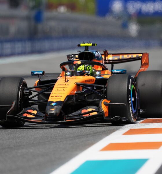 Lando Norris