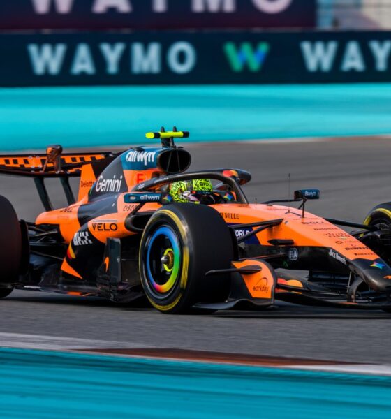 Lando Norris