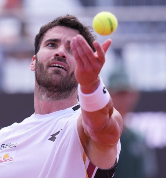 Andrea Pellegrino