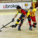 Bassano FISR