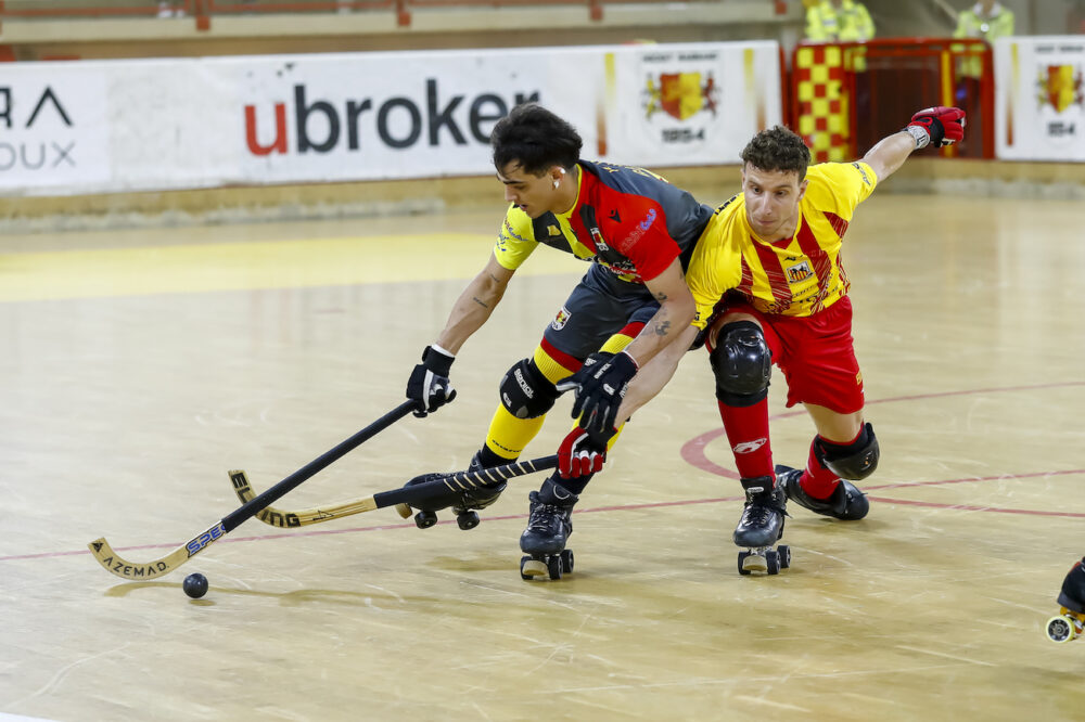 Bassano FISR