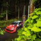 Elfyn Evans