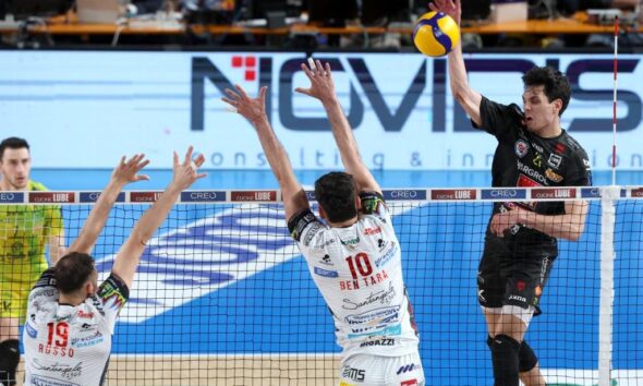 Mattia Bottolo
