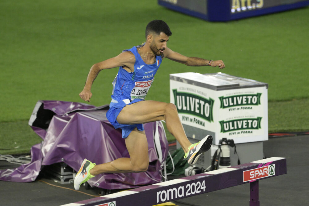 Osama Zoghlami