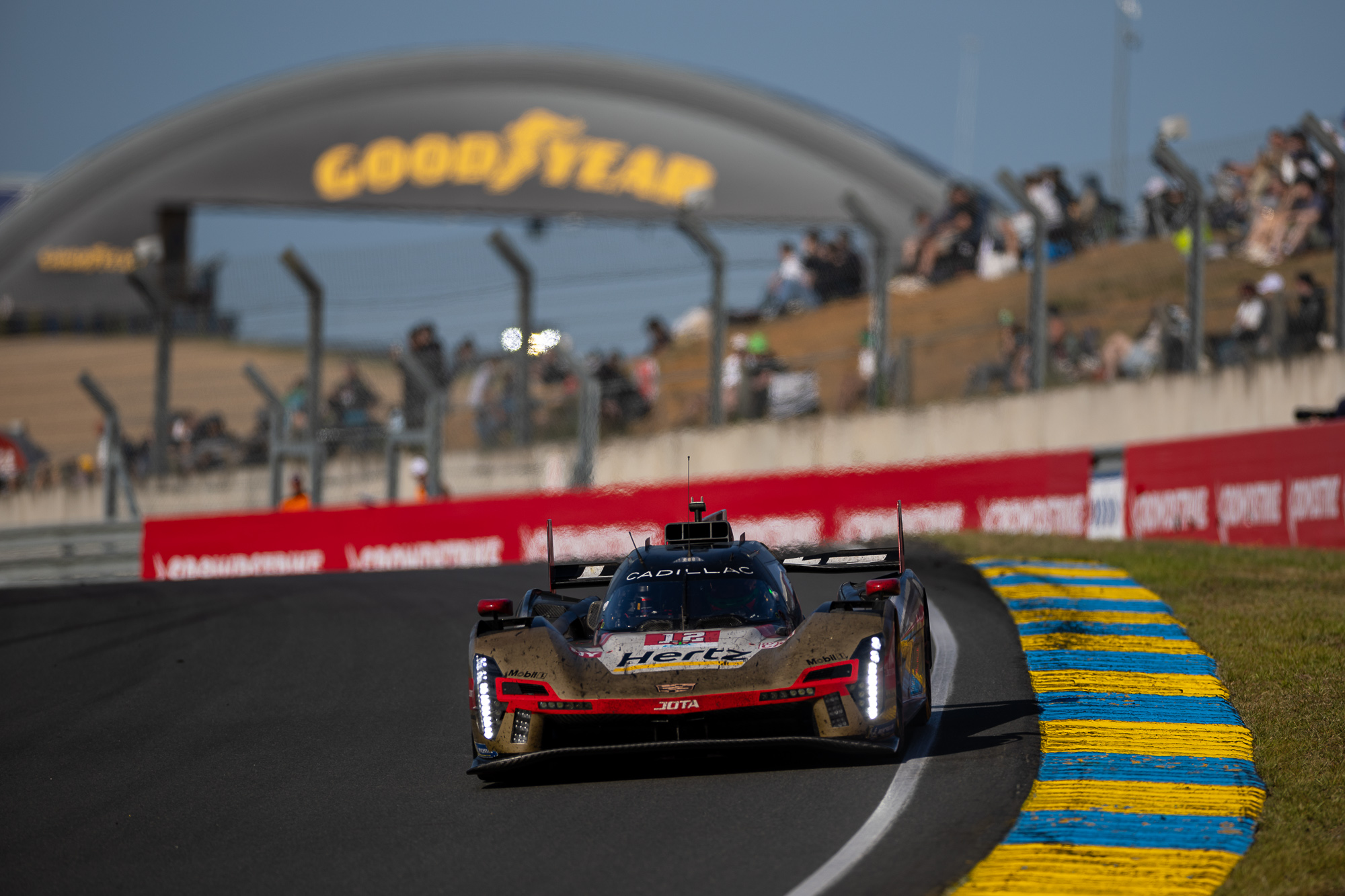 #12 Hertz JOTA Cadillac