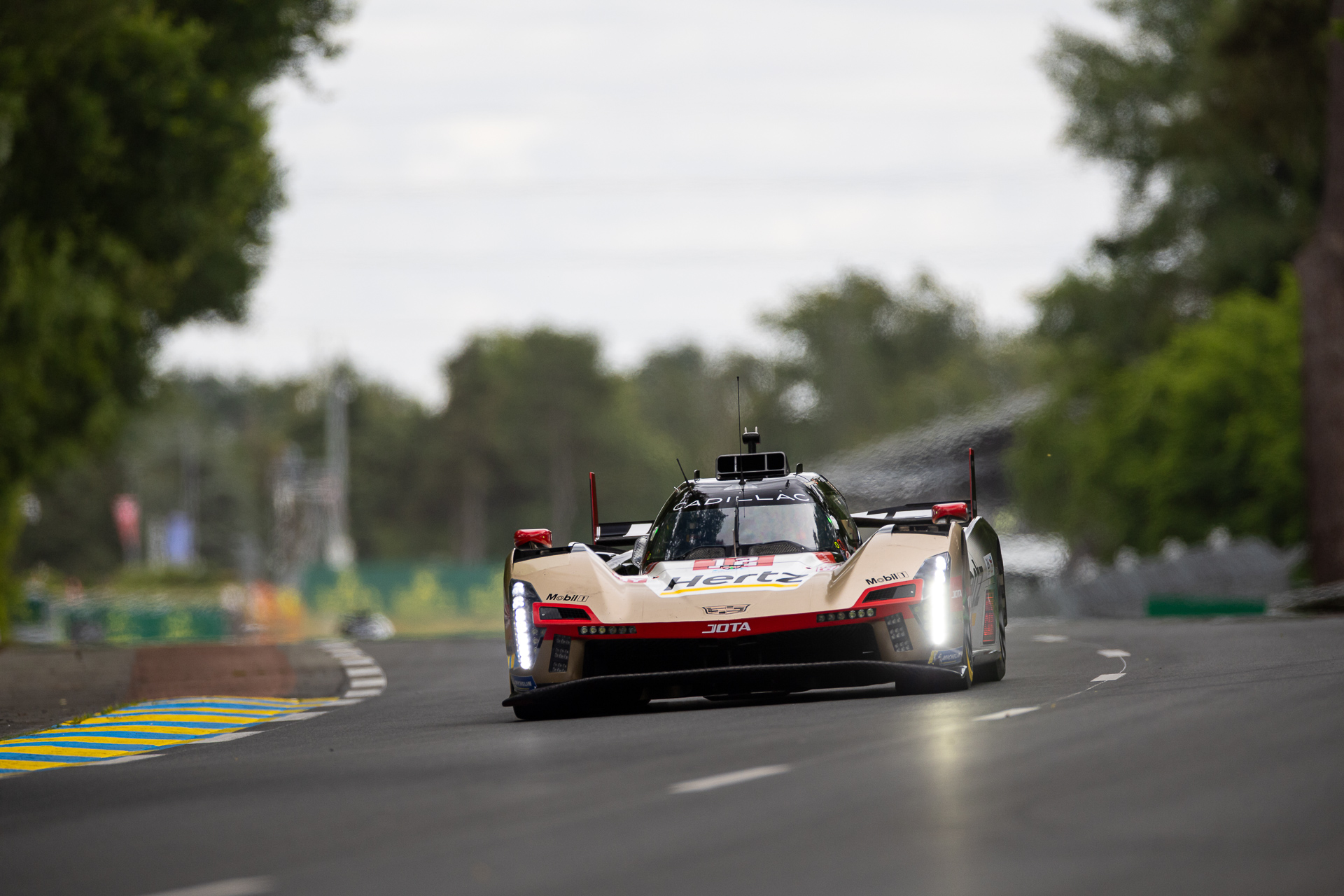 #12 Hertz JOTA Cadillac