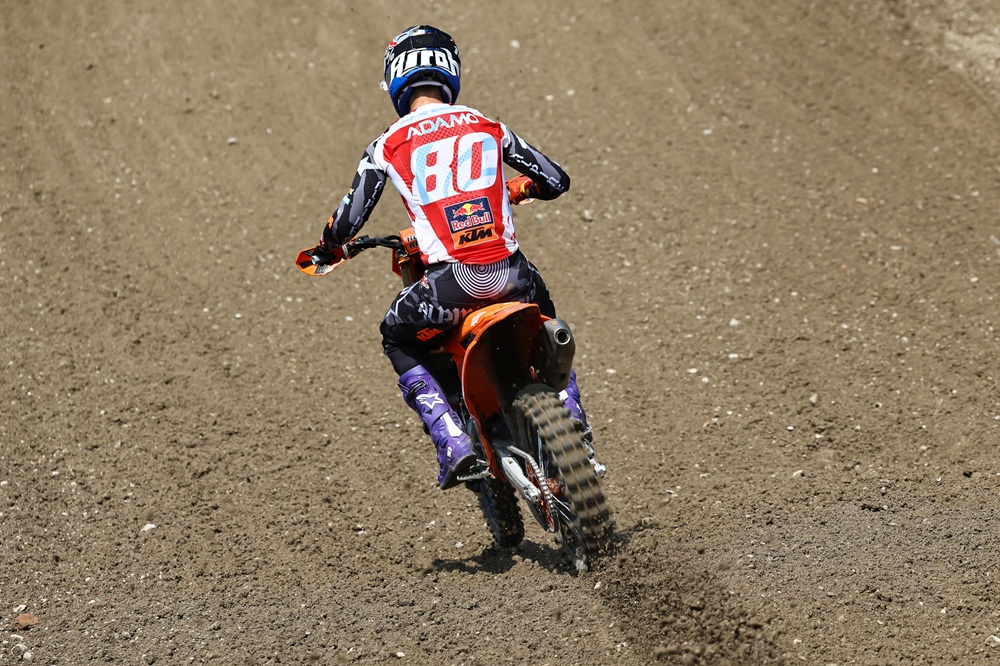 Andrea Adamo