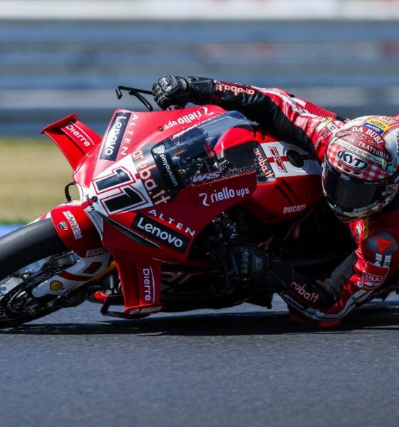 Bulega, Superbike, Ducati