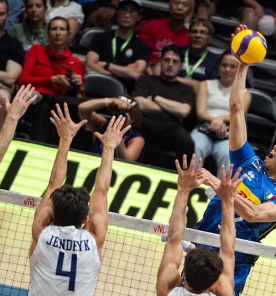 Mattia Bottolo
