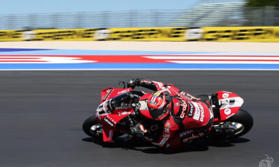 Nicolò Bulega