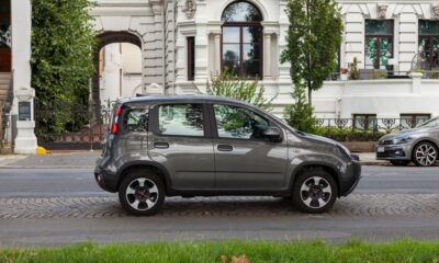 Panda