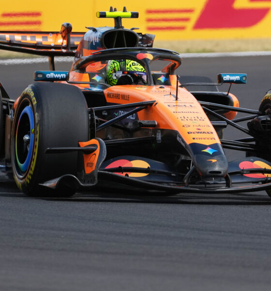 Lando Norris